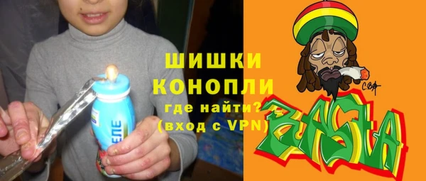 ПСИЛОЦИБИНОВЫЕ ГРИБЫ Сосновый Бор