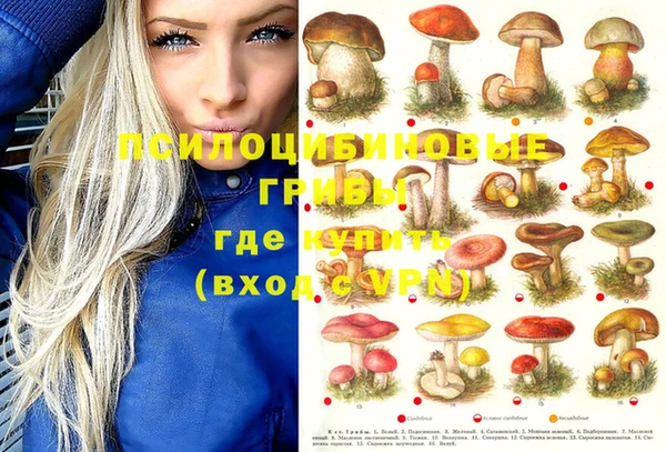прущие грибы Белоозёрский