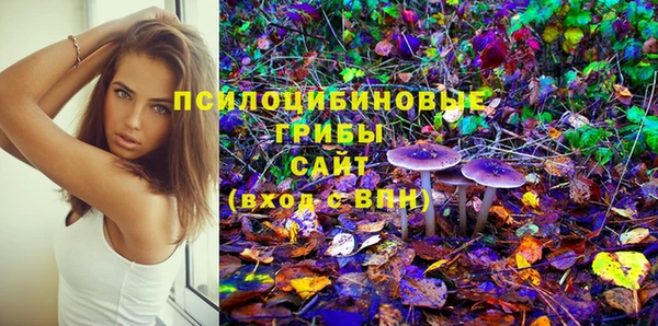 прущие грибы Белоозёрский