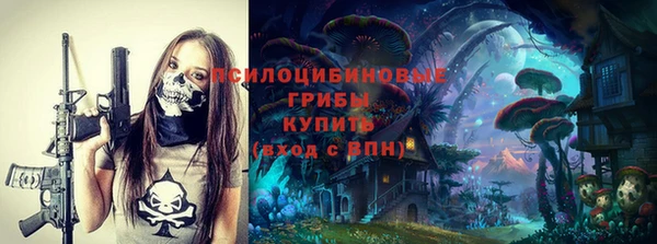 a pvp Белокуриха