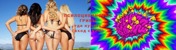 прущие грибы Белоозёрский
