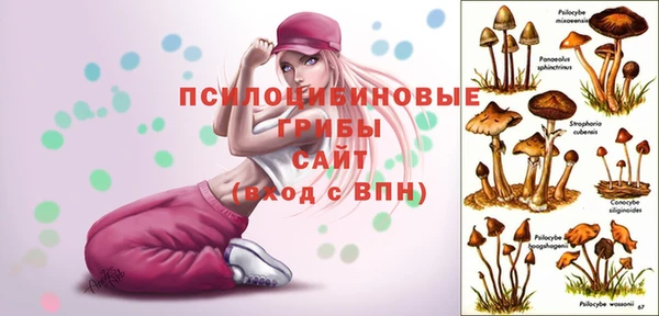 прущие грибы Белоозёрский