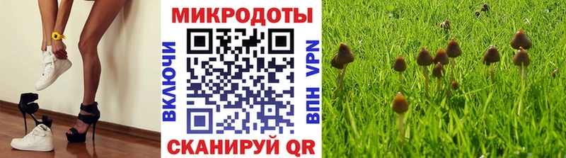 hydra ONION  где купить наркотик  Гороховец  Псилоцибиновые грибы мухоморы 